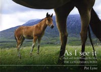 As I see it by Pat Lyne