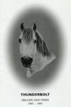 THUNDERBOLT HIS LIFE & TIMES